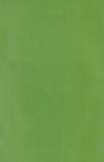 শাক সবজির চাষ